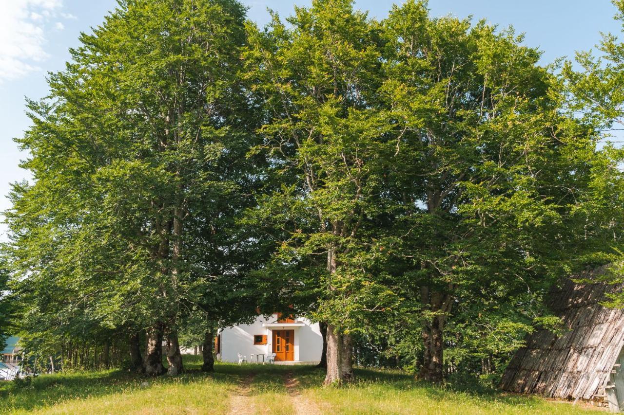 Highlander'S House Villa Zabljak  Exterior photo